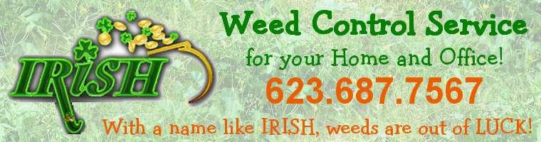 Irish Weed Control - Surprise, Phoenix, Arizona